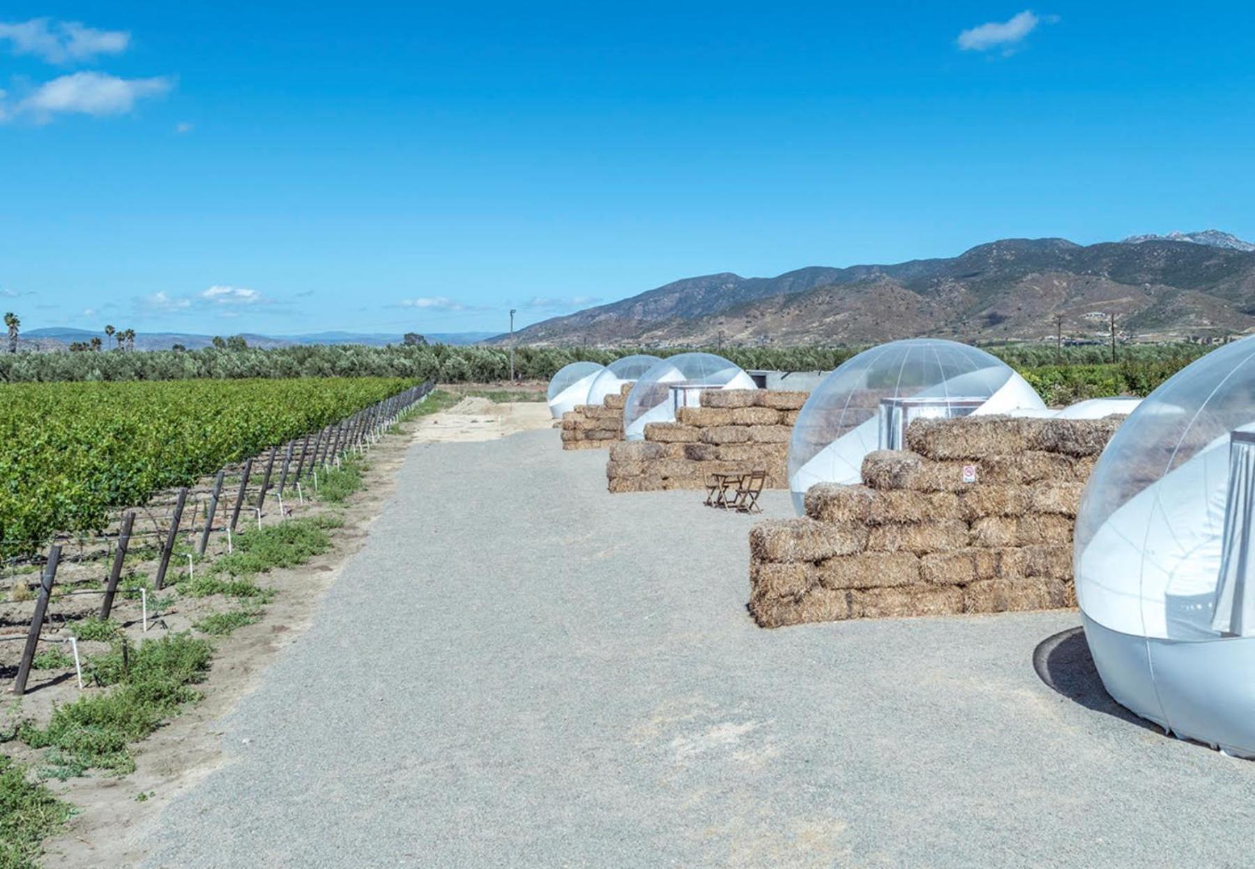 Campera Valle De Guadalupe Ensenada Bagian luar foto